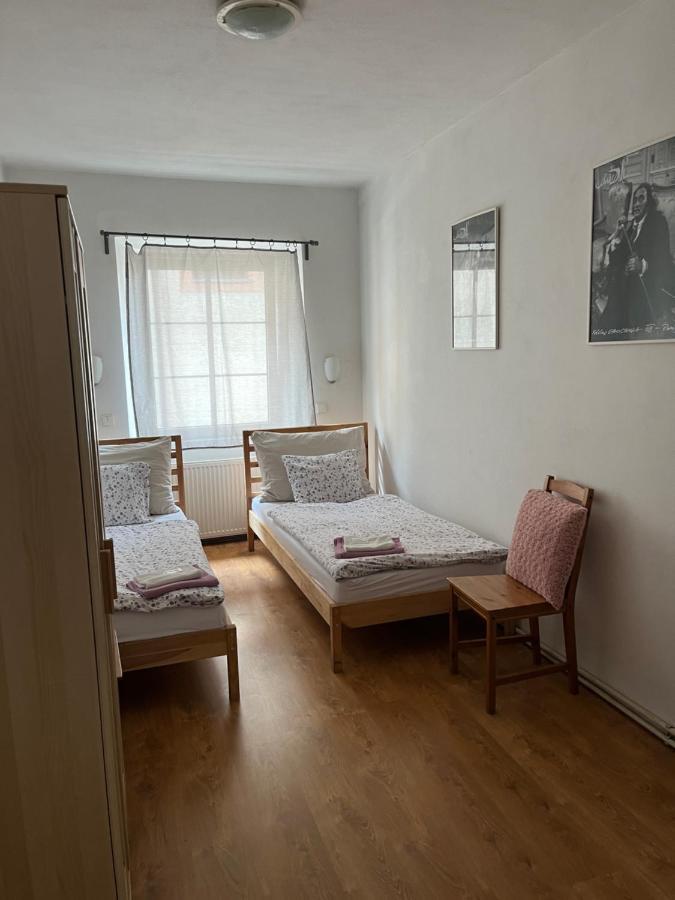 Apartment Zamecka 德辛 外观 照片
